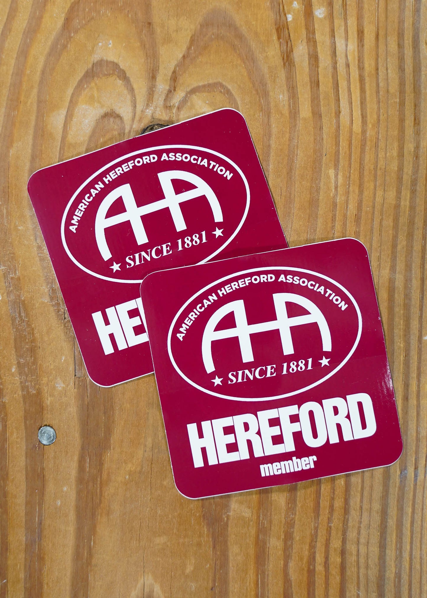 AHA Member Decal