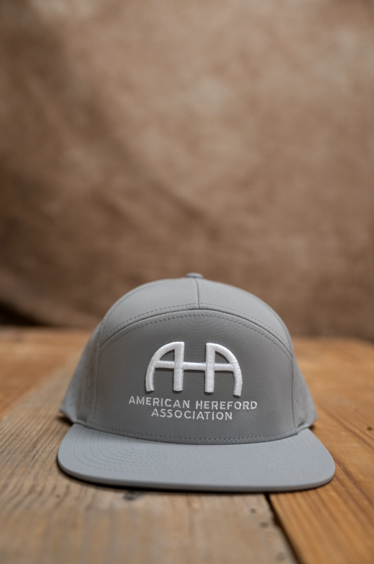 AHA Branded Gray Richardson 169