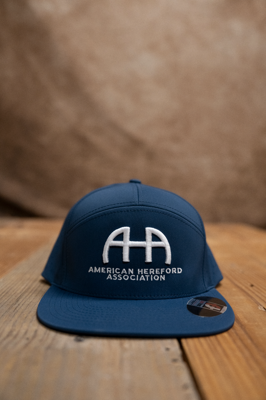 AHA Branded Navy Richardson 169