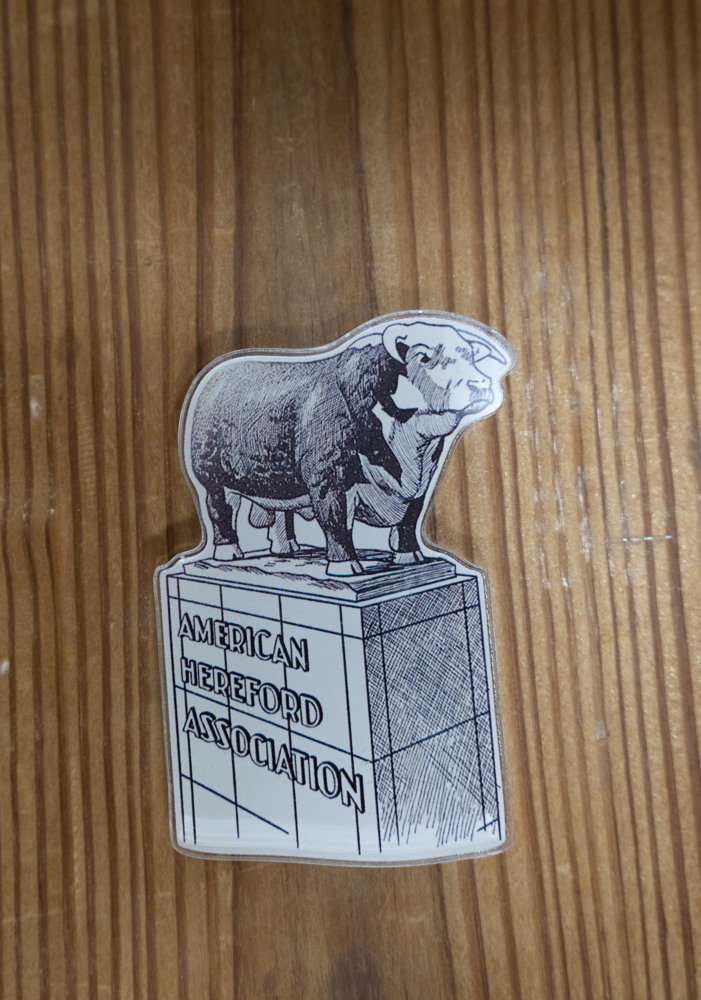 Iconic Hereford Bull Magnet
