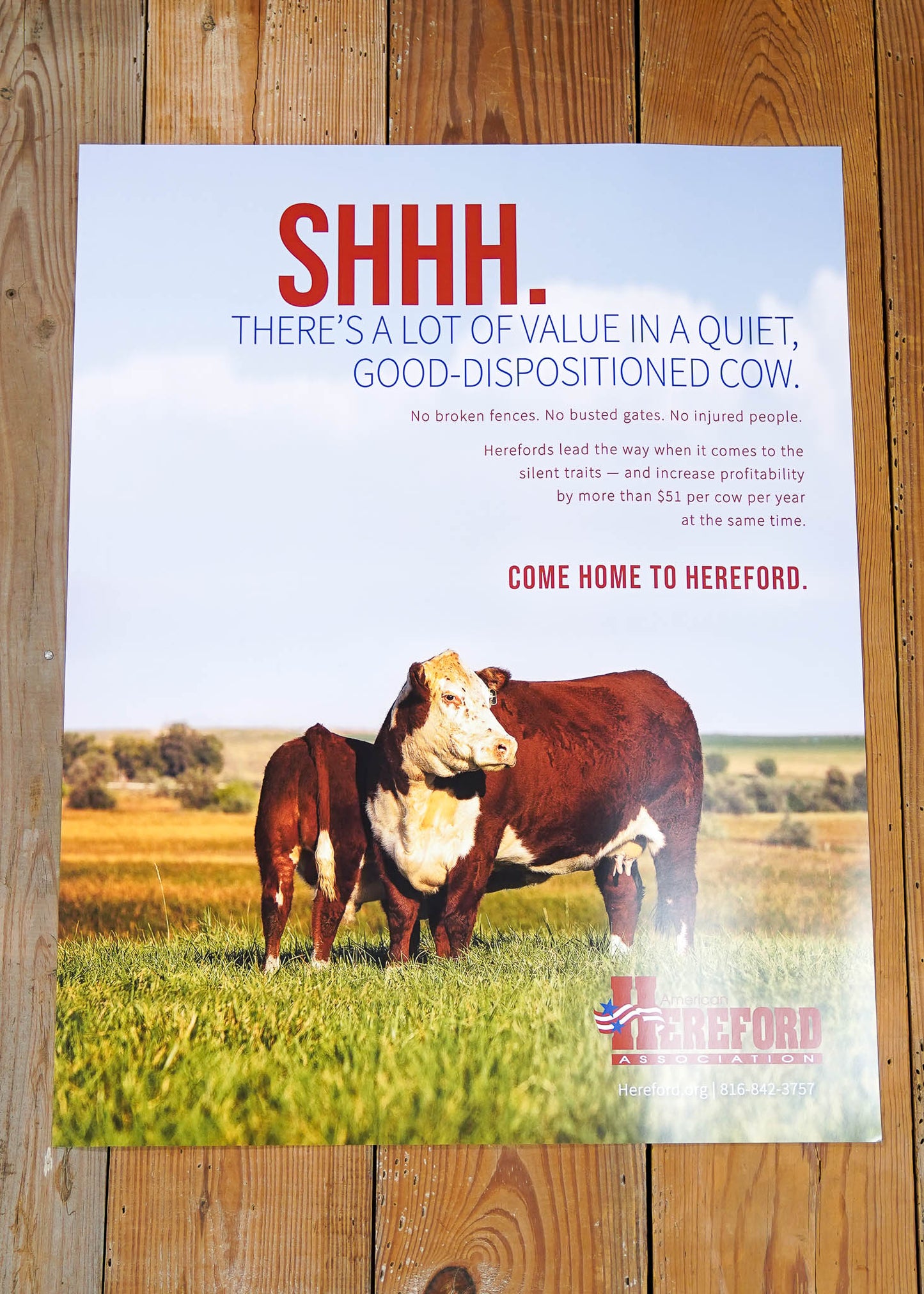 Come Home to Hereford Poster