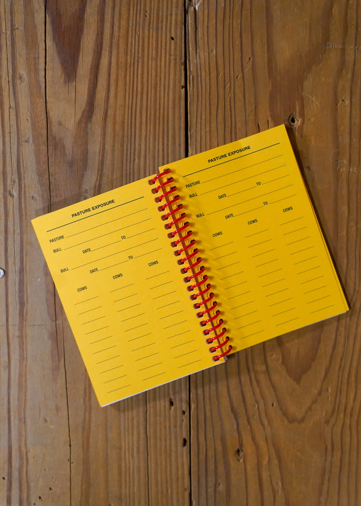 Pocket Cow Herd Record Book – Shop Hereford