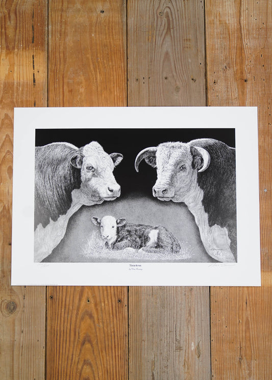 Hereford "Timeless" Numbered Print