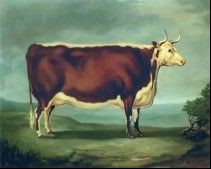 The Silver Cow Historic Hereford Print