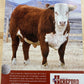 Hereford Posters - Past Editions