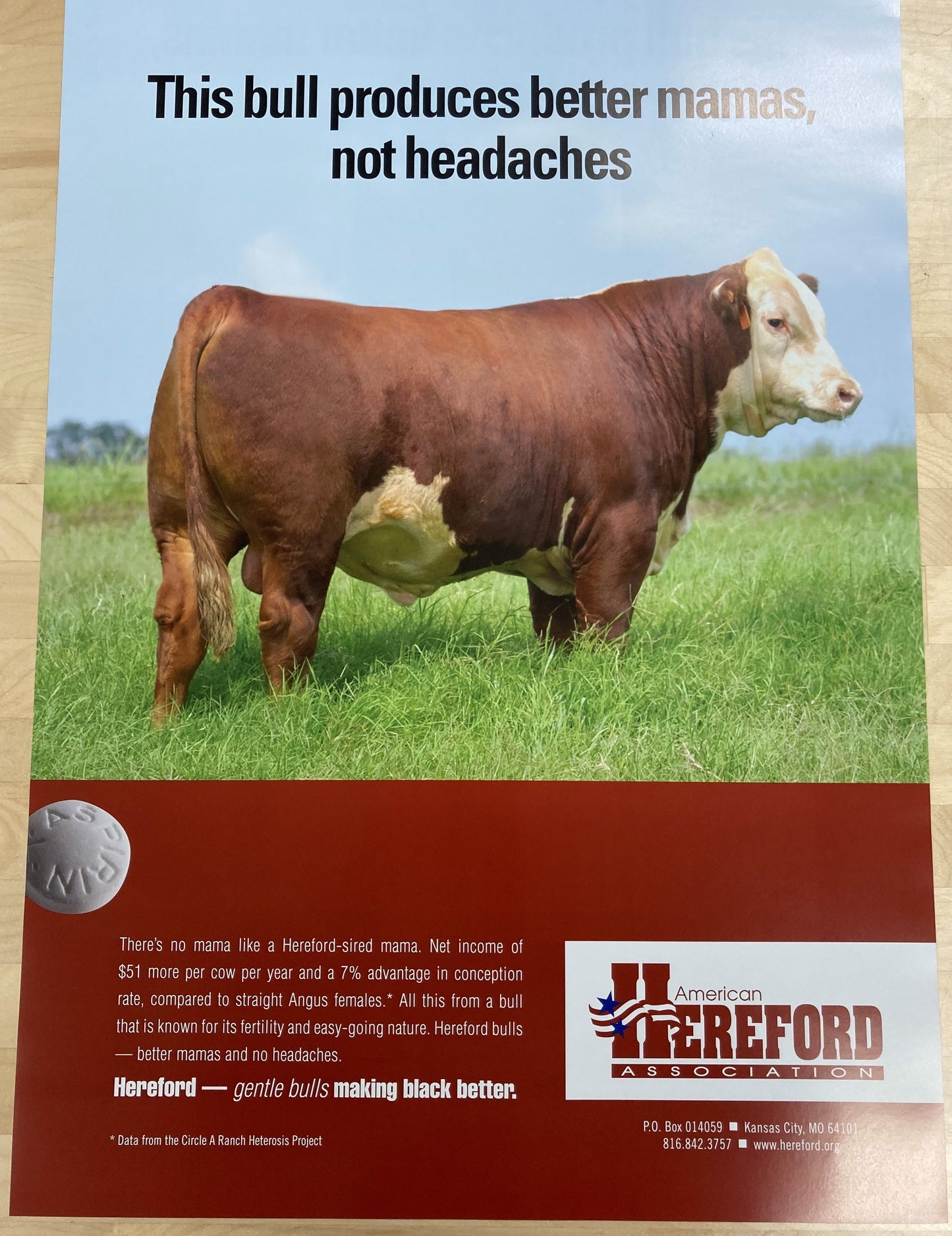 Hereford Posters - Past Editions